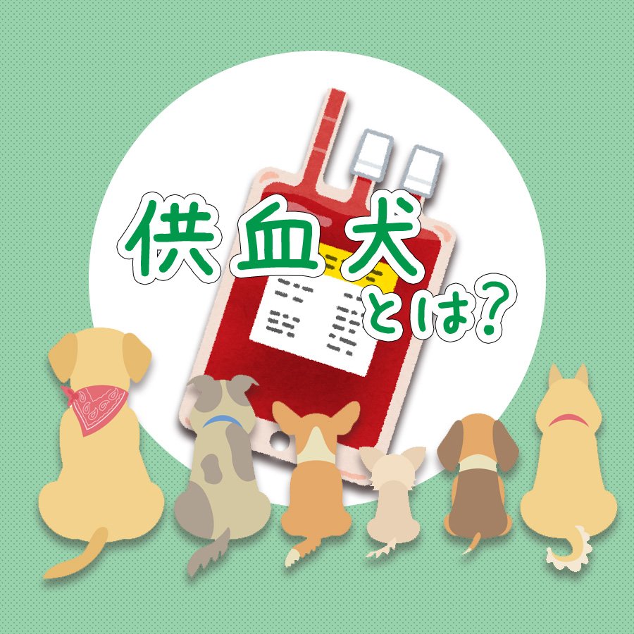 志賀功 番組制作会社代表 tweet media
