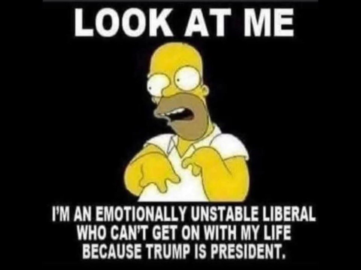 🌟🇦🇺Lady Meerkat🇺🇸🌟 tweet media