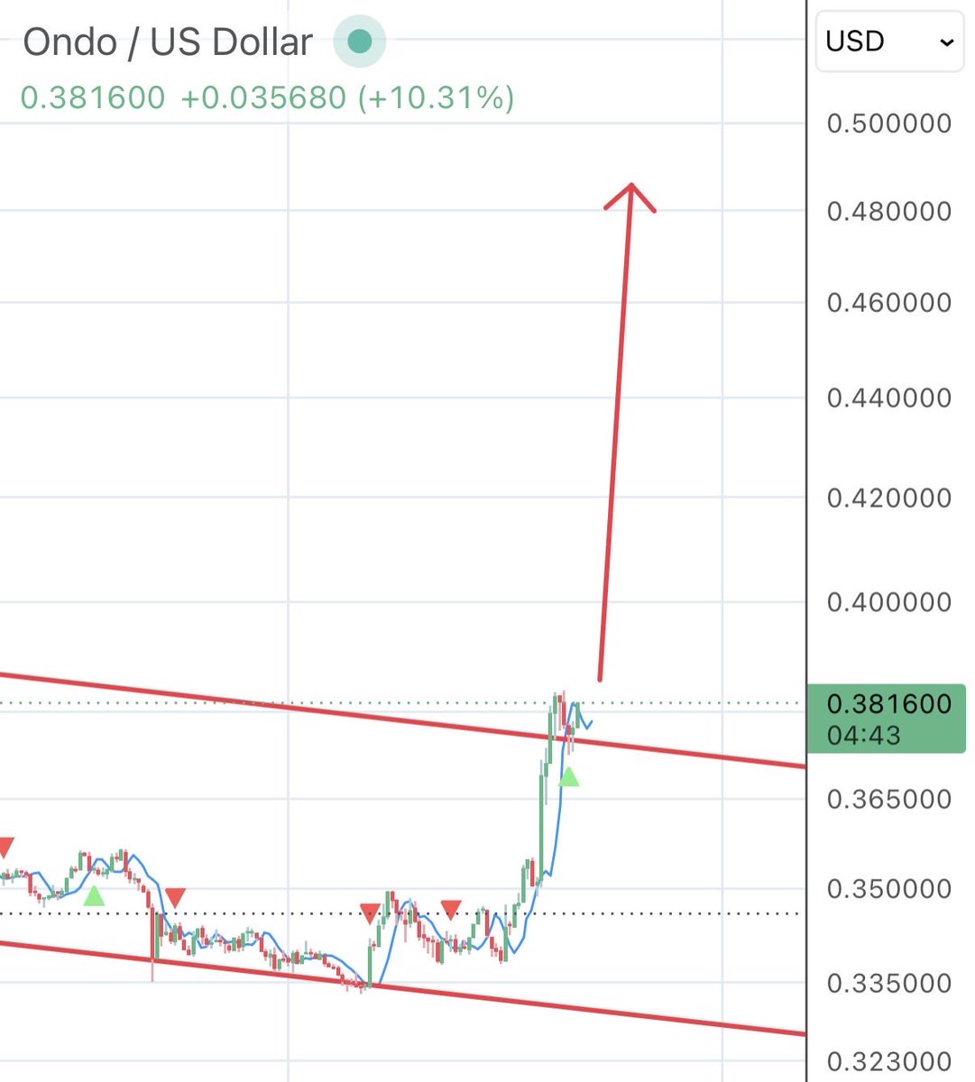 wildly bullish tweet media