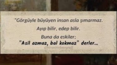 DermanDeniz's tweet photo. . https://t.co/m3y77lRLgD