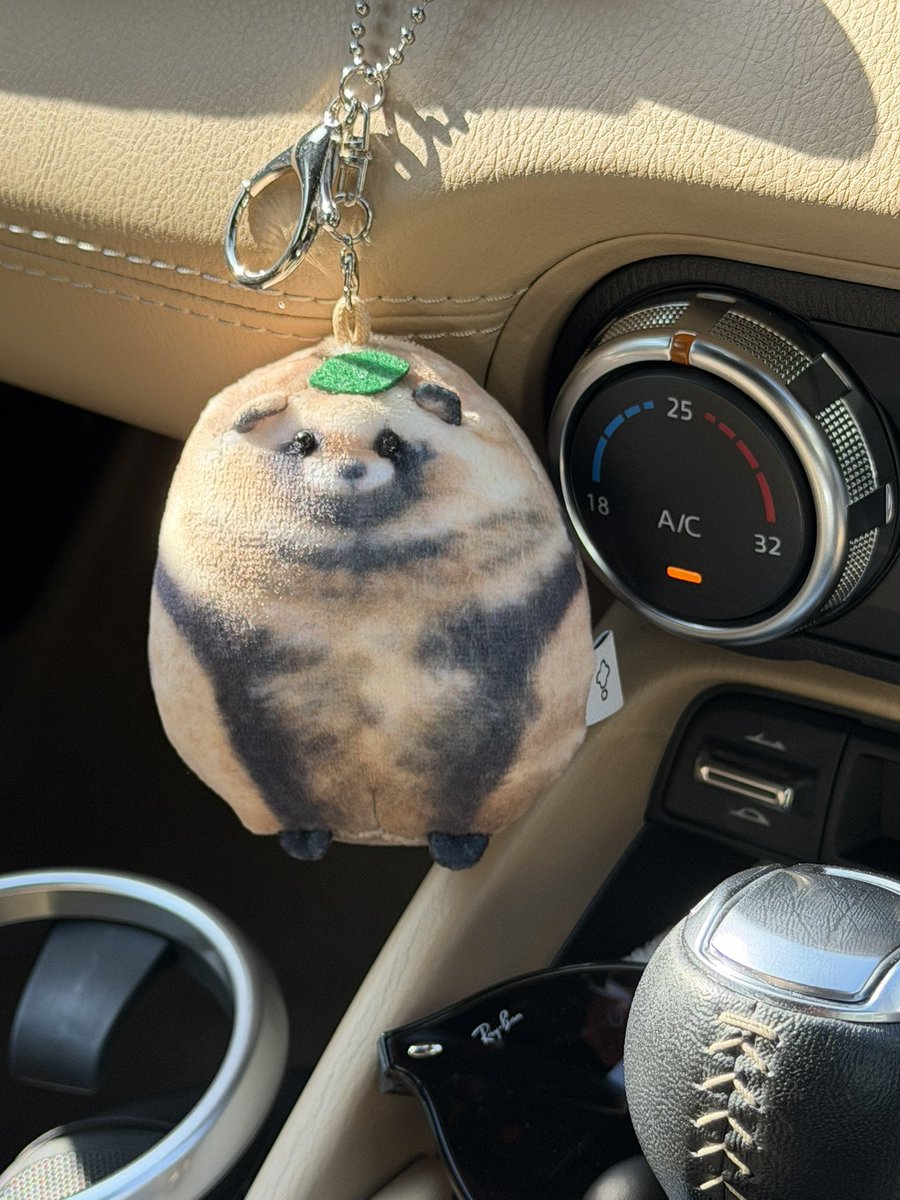 なんで100いいねいきそうになってんのw たぬきやぞ。