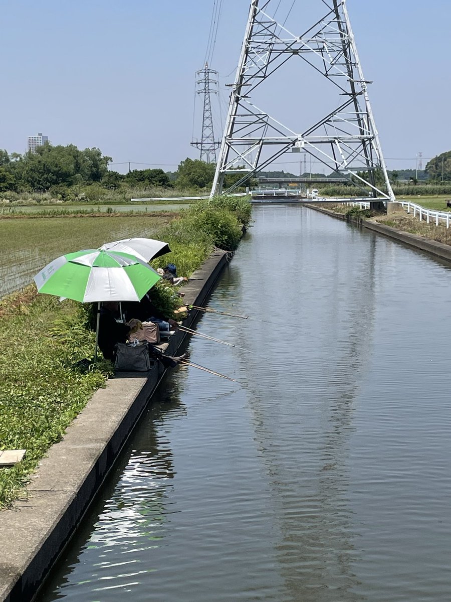 T6yWas's tweet photo. 2026年5月18本日はダンゴエサの勉強を兼ねて小貝川排水路へ仲良し３人で行って来ました。🤗放流もしてないのに魚影が濃く一投目からアタリが有り驚きです。🤗カラツンが凄くて中々餌が難しい😓其れでも３人とも最後迄楽しめました。🤗
さて次回は何処に行きましょうか。🤗 https://t.co/Nk2oWNHmrl