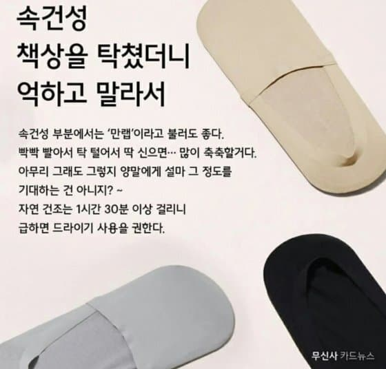 🍃솔바람 tweet media