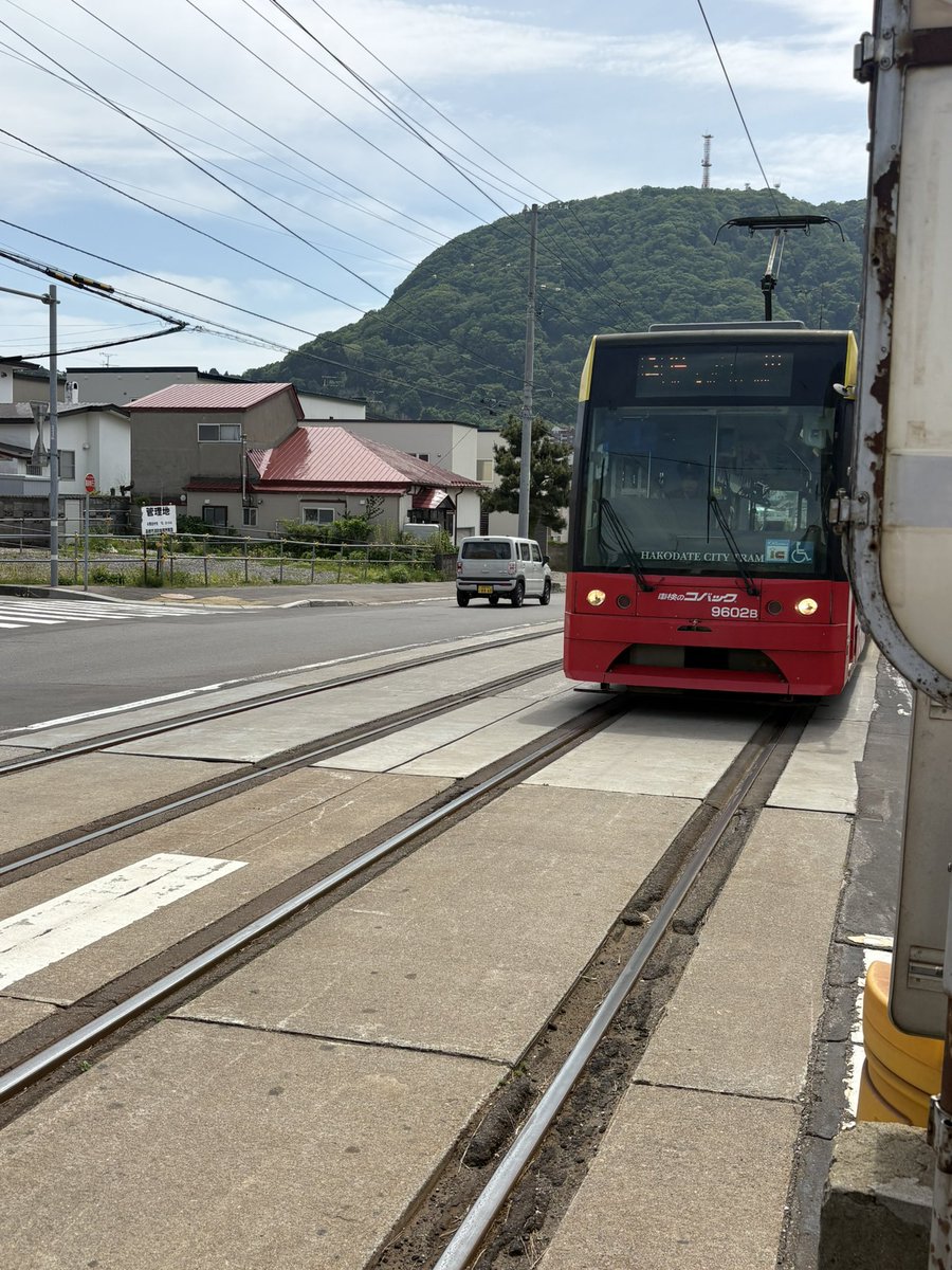 miyureds178 tweet media
