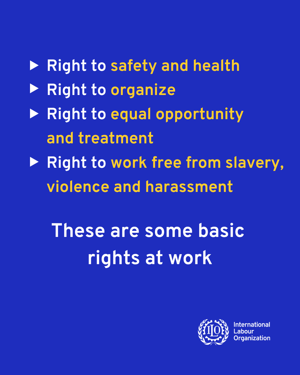 International Labour Organization tweet media