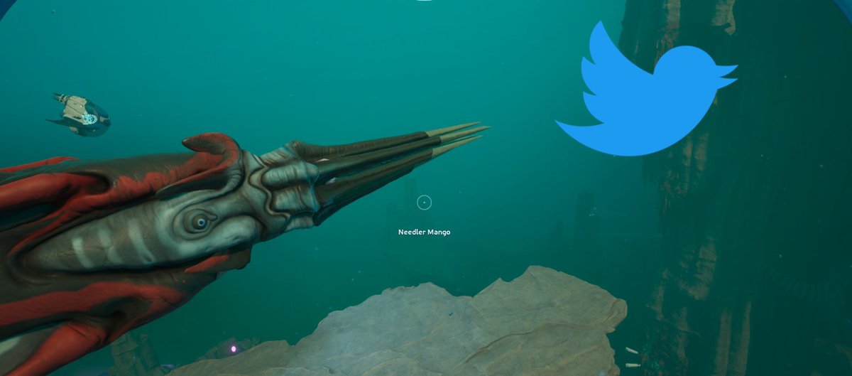 Needler Mango tweet media