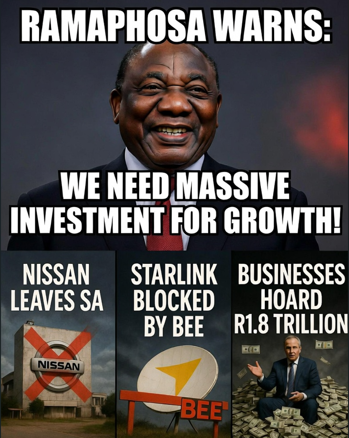 Marty 🇺🇸🇿🇦 tweet media