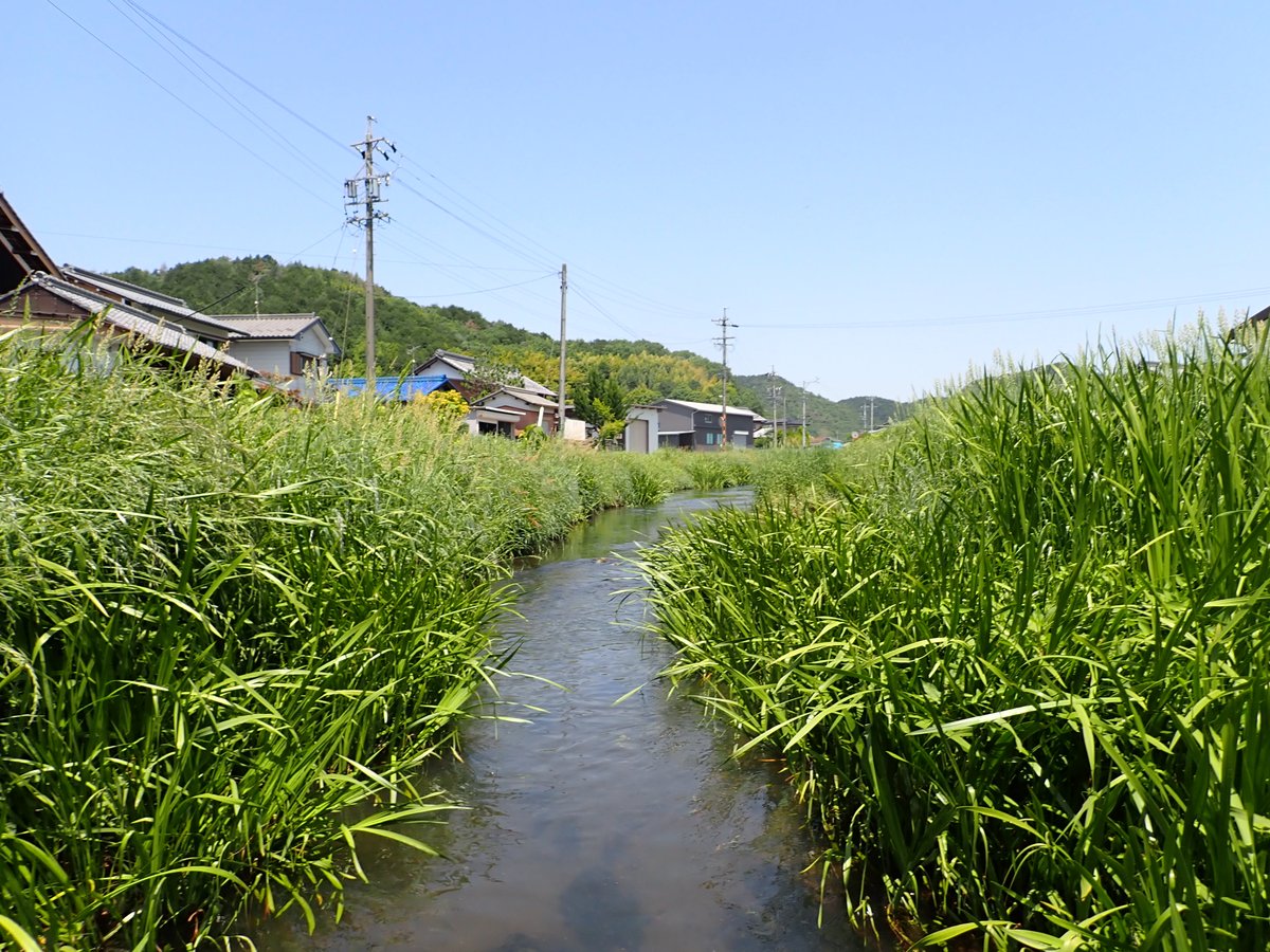 MUKAI, T. tweet media