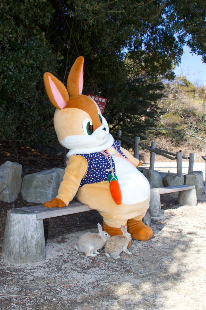 うさぎのルチル🐰 tweet media