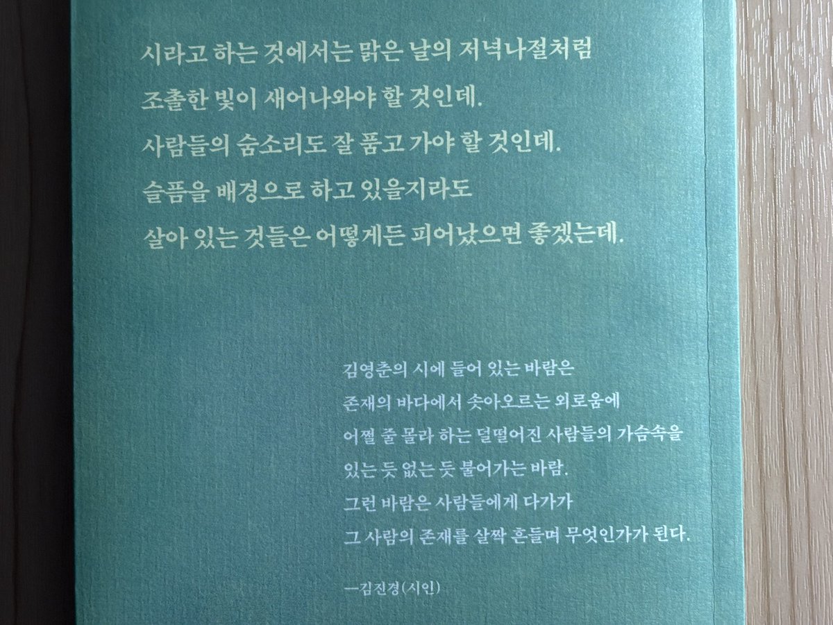 담요 tweet media