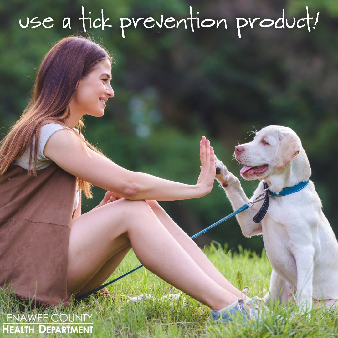LenaweeHD's tweet photo. Pets can also get Lyme disease if bitten by an infected tick. The best way to stop ticks from biting your pets is to use flea and tick preventives and check them regularly for ticks. Talk to your vet about tick bite prevention products. More: https://t.co/CPlDSwQFz8. https://t.co/gpKnS4kXT1