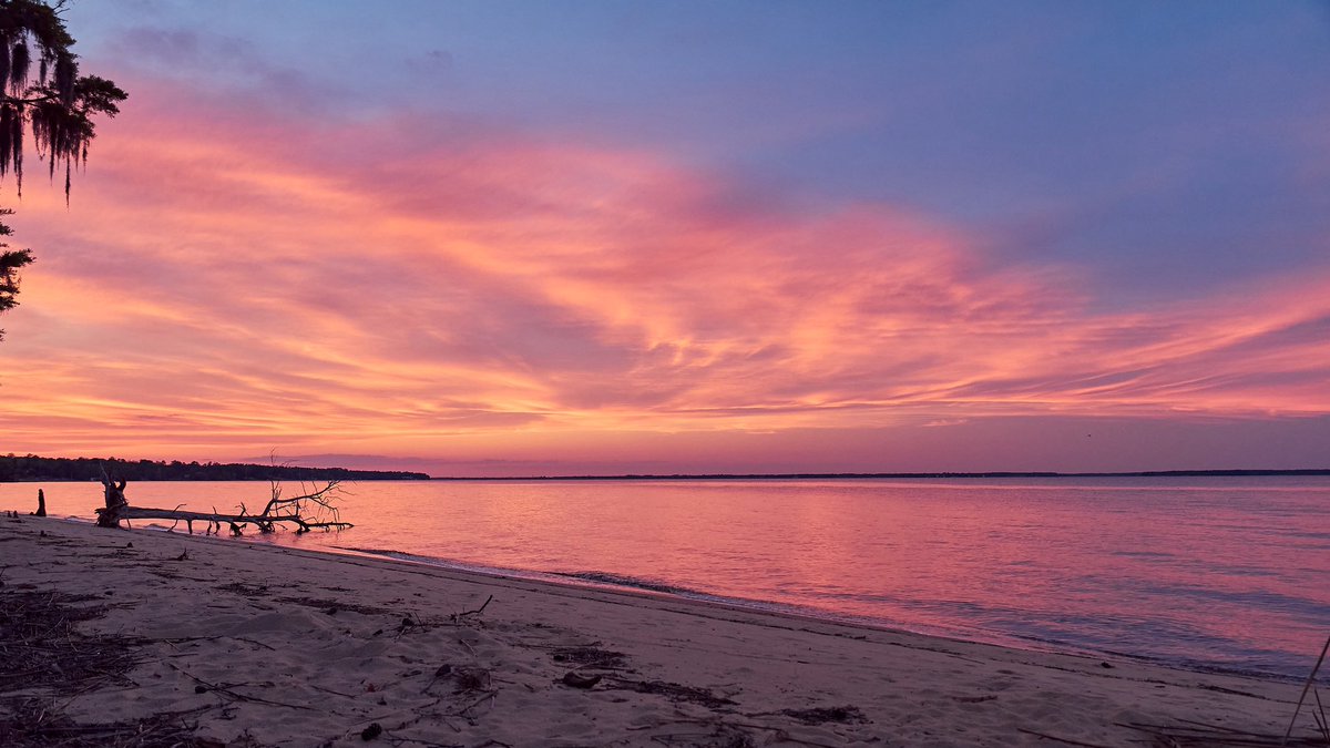 Indiveri_'s tweet photo. Took 10 days off to recharge (sort of..as much as you can when visiting family lol) in NC. Rented a house in the Neuse River in New Bern, NC and it was a gem of a spot. https://t.co/IiwTr9UO8c