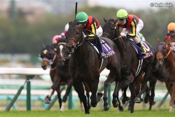 競馬ラボ tweet media