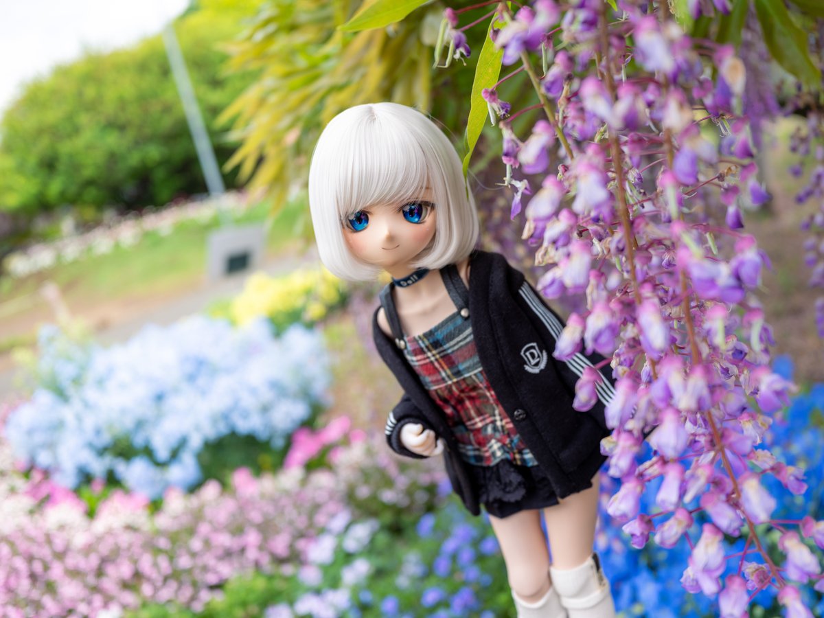 アヤ・レイ(ΦωΦ) tweet media