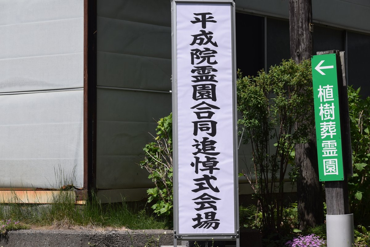 ohakasupport's tweet photo. 5月17日（日）岩手県洋野町、植樹葬霊園平成院にて、平成院霊園合同追悼式が行われました。今年も記録係としてご指名を頂き、動画と写真撮影をさせて頂きました。
お天気にはとても恵まれ、また副住職様より宗教と音楽の融合をテーマに演奏を頂き、参加者全員が幻想的な時間を過ごされたと思います。 https://t.co/VJWGqZsiok