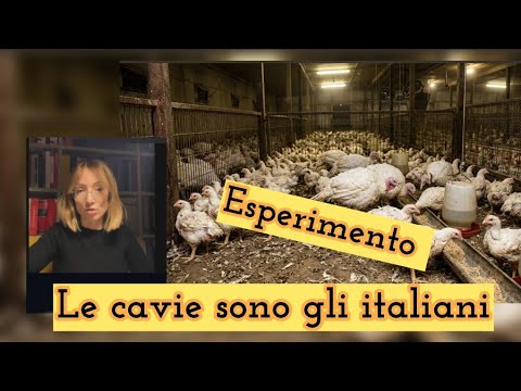 elisamariastella tweet media