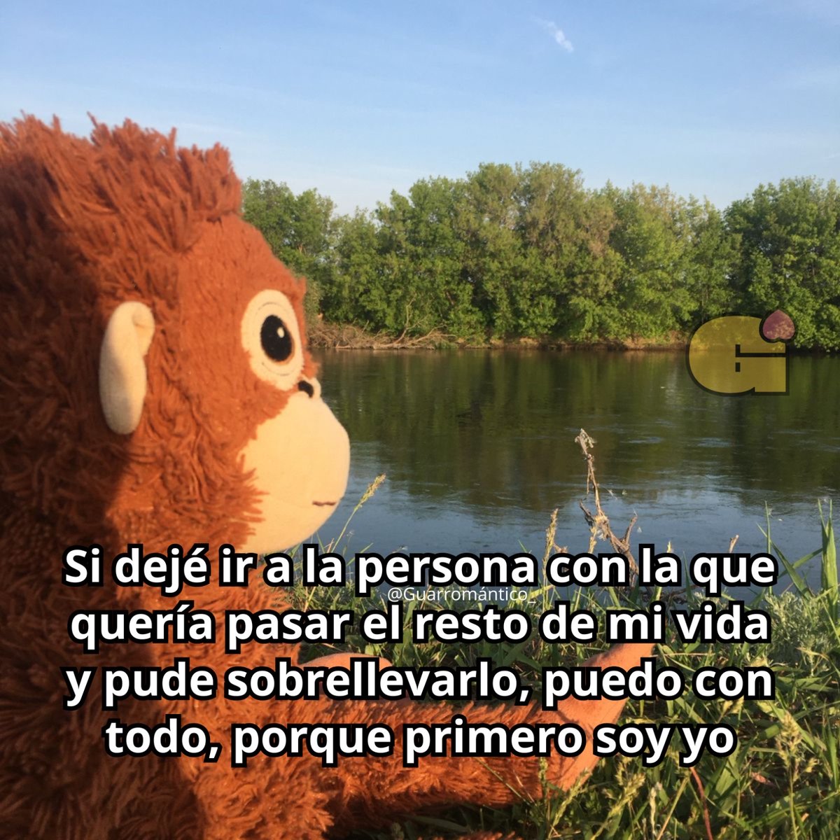 El Guarromántico tweet media