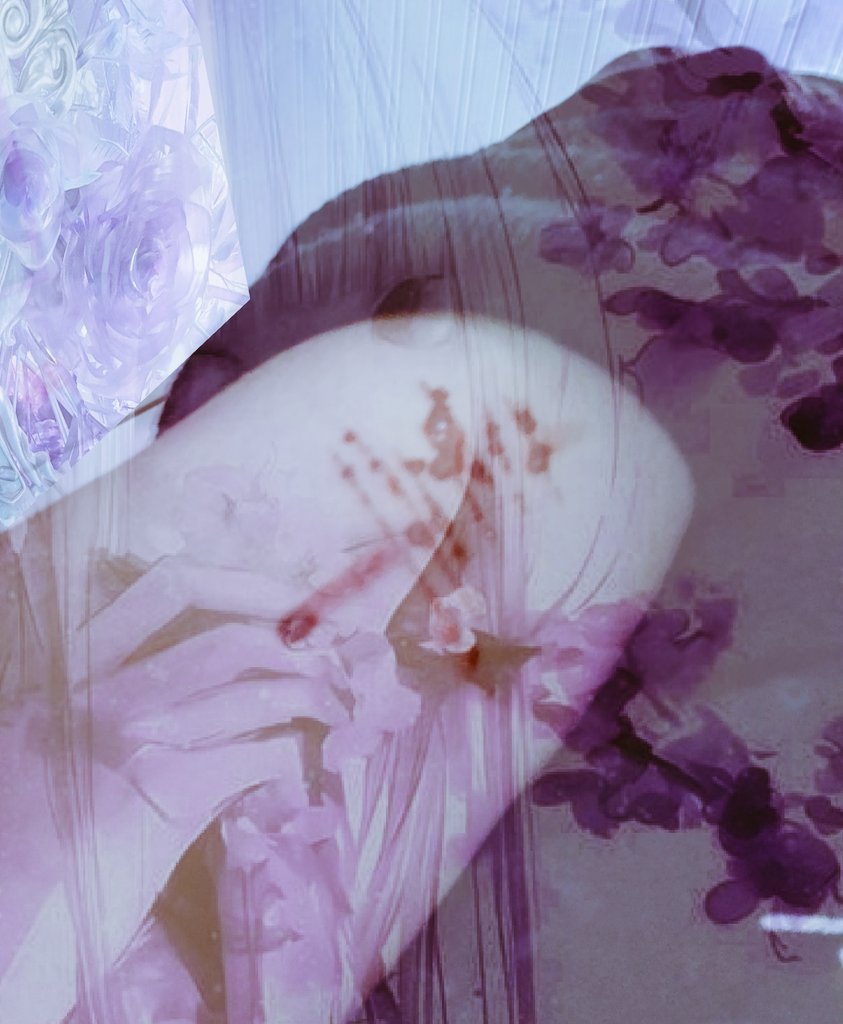 Xin.・゜゜・ tweet media
