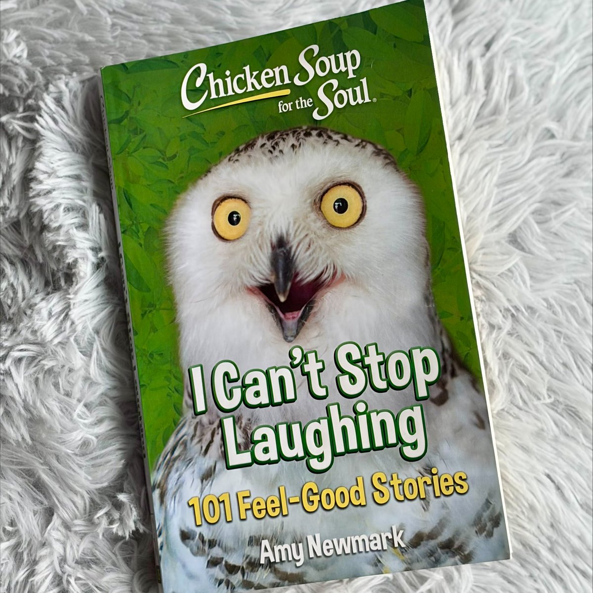 ChickenSoupSoul's tweet photo. Some books just feel like a deep breath and a good laugh at the same time. Chicken Soup for the Soul: I Can’t Stop Laughing is all about those moments that catch you off guard, in the best way possible, and remind you not to take life too seriously. https://t.co/uCo5IIX2lt