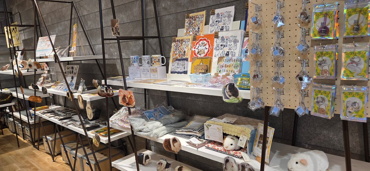 MAIKO🌿もっともっともるもっと tweet media