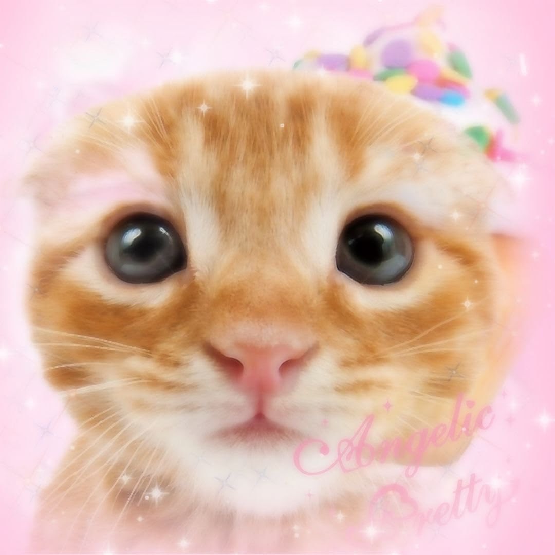 ˚✧┆lumi 🌸 ˚. ᵎᵎ˖ tweet media