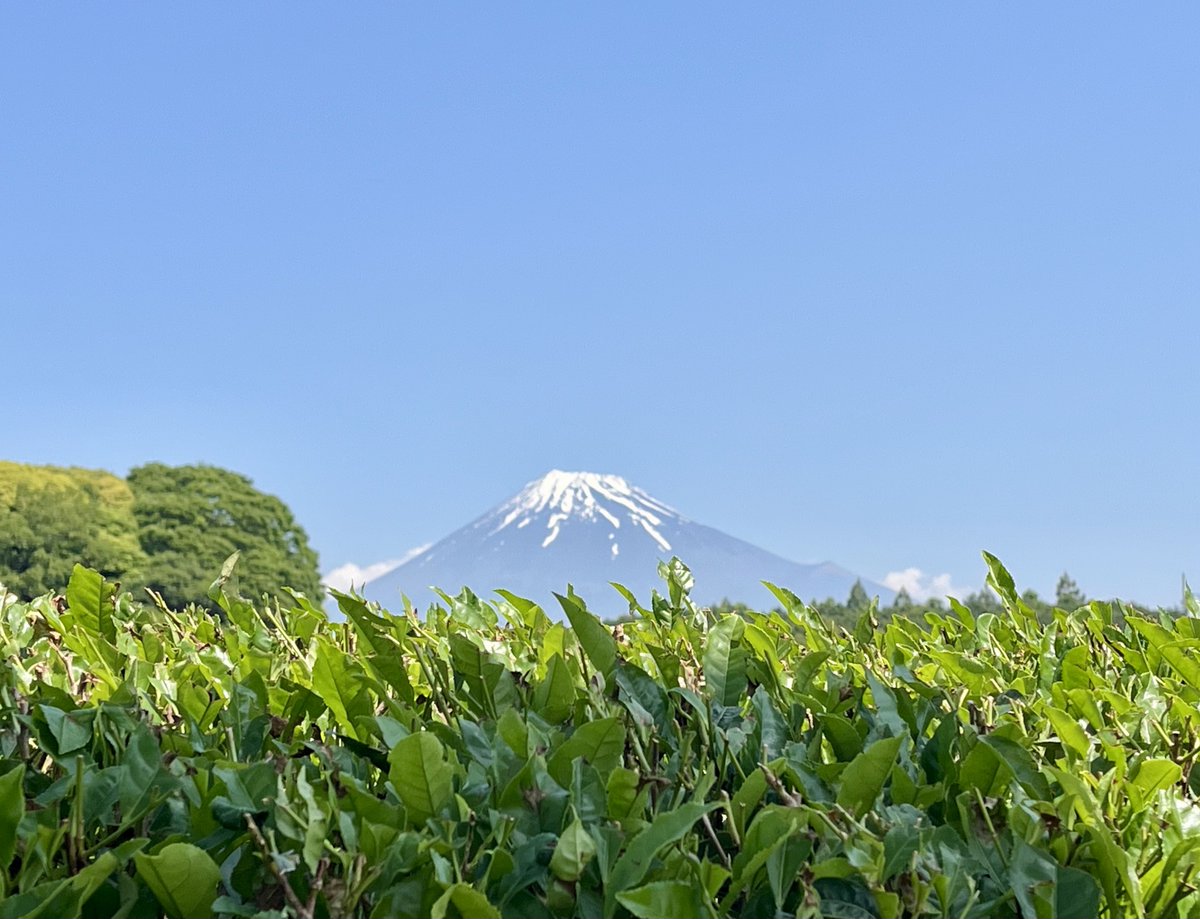 marumo5th's tweet photo. 雪も溶けてきて夏山に🗻 https://t.co/86Arz8e0fa