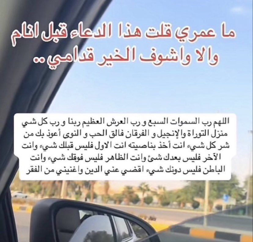 كبشتينه tweet media