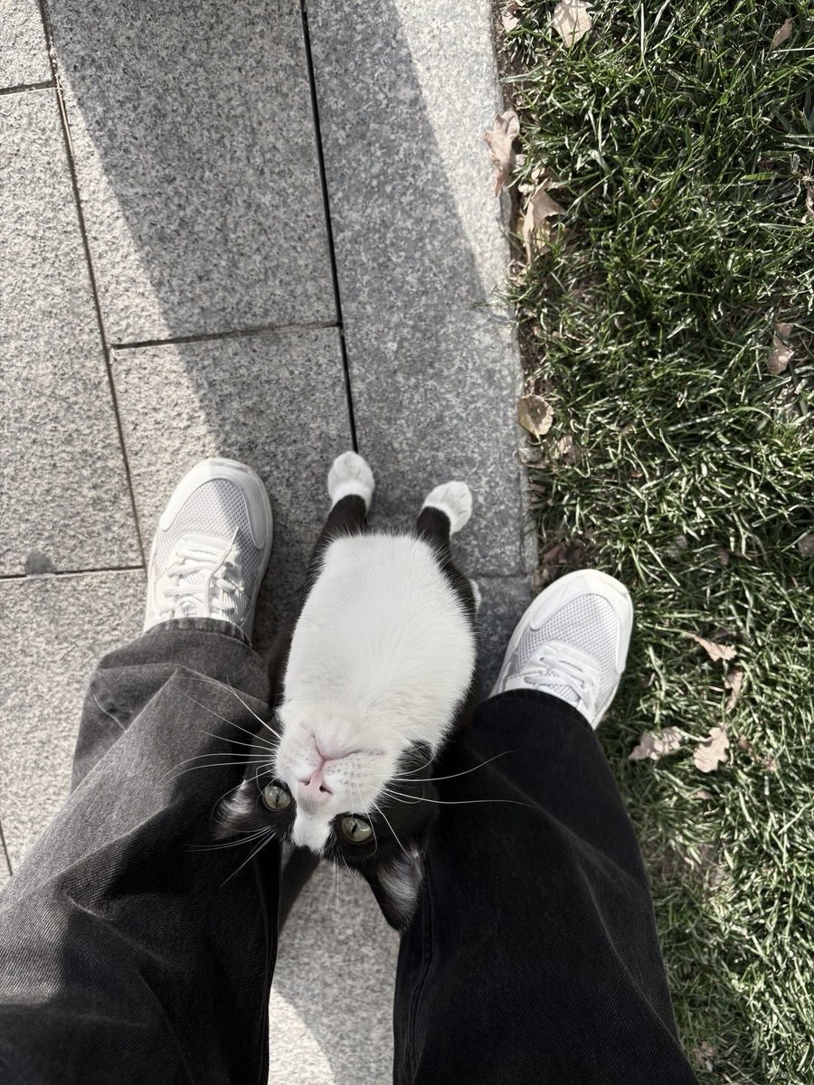 𝐒𝐞𝐤𝐚𝐫 𝐊𝐢𝐫𝐚𝐧𝐚 tweet media