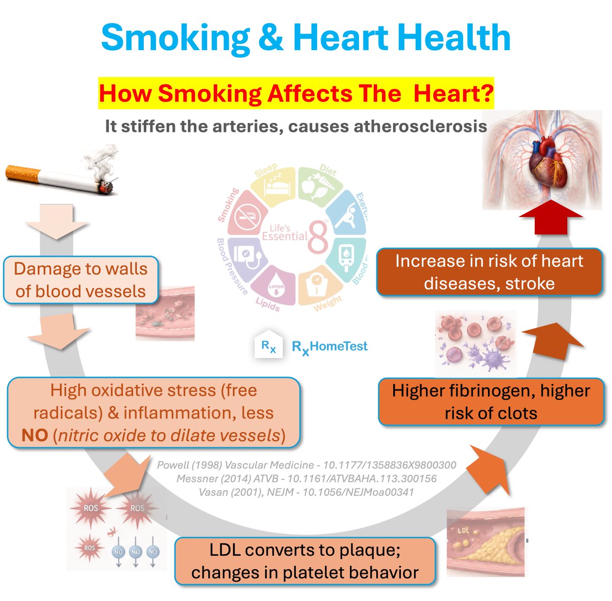 RxHomeTest | Making Health Tests Accessible tweet media