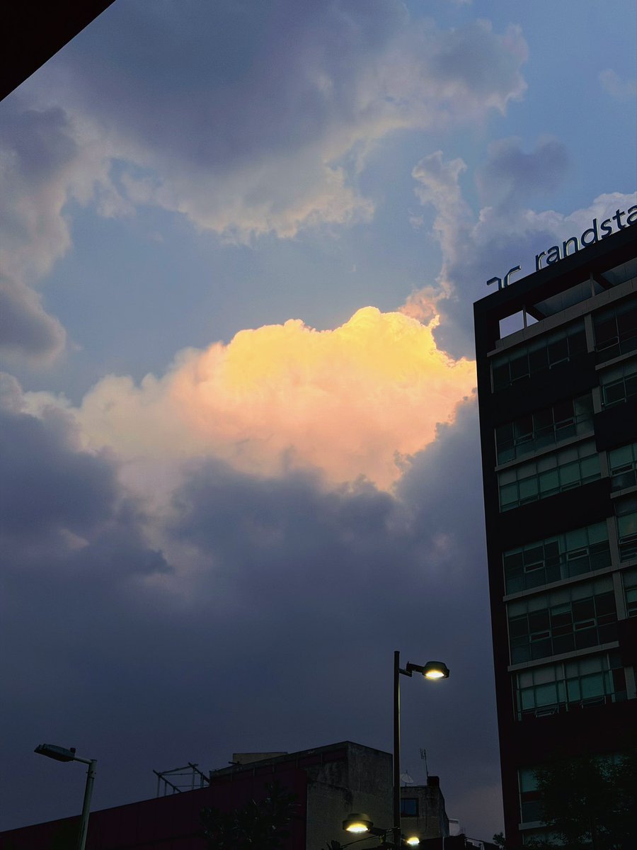 CCsMoonTe's tweet photo. 🧡 https://t.co/TrmSrwgypZ