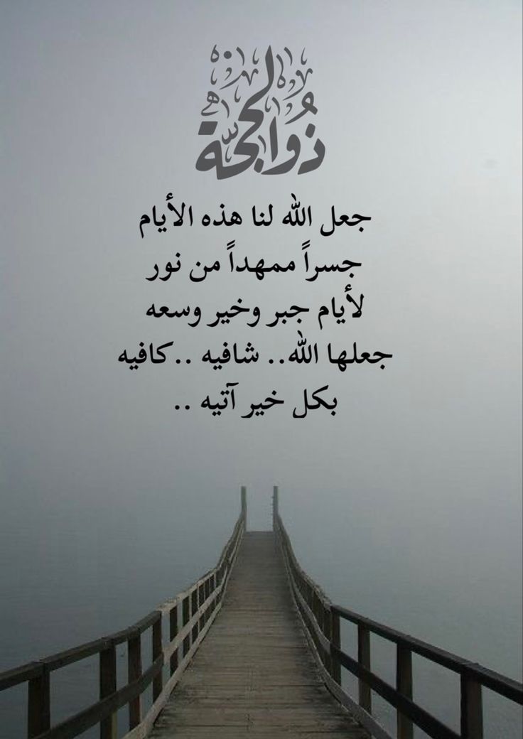 ضي القمر tweet media
