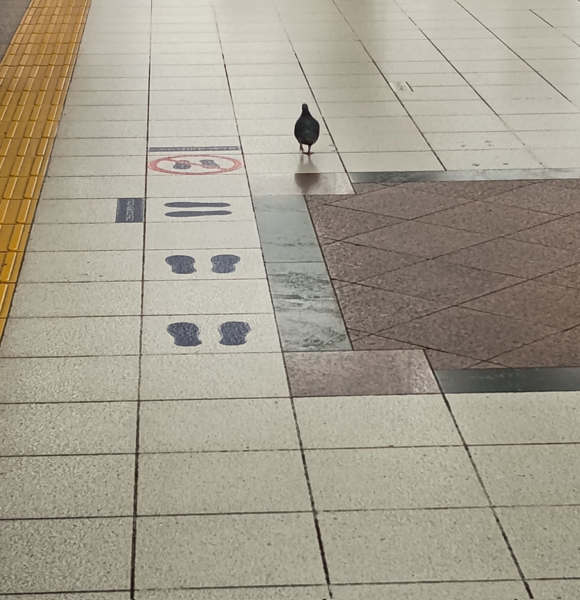 マツモト tweet media