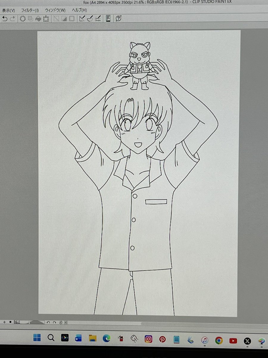 Post by 🦅🐈‍⬛ミサト🦣🦁 on X: wip