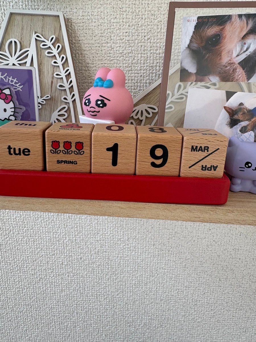 AS___planning's tweet photo. おはようございます🌞
エースプランニングです！5/19！
もう19日ですか！早いですね！
＃上田市　は今日も暑いです😩
なんだかもう日に焼けたような気がします😂
毎日畑に行ったりと紫外線を浴びています😓
白くなりたいのに黒くなる一方です😂
それでは本日もお願いします🥰

＃企業公式相互フォロー https://t.co/R6hi3G31QW