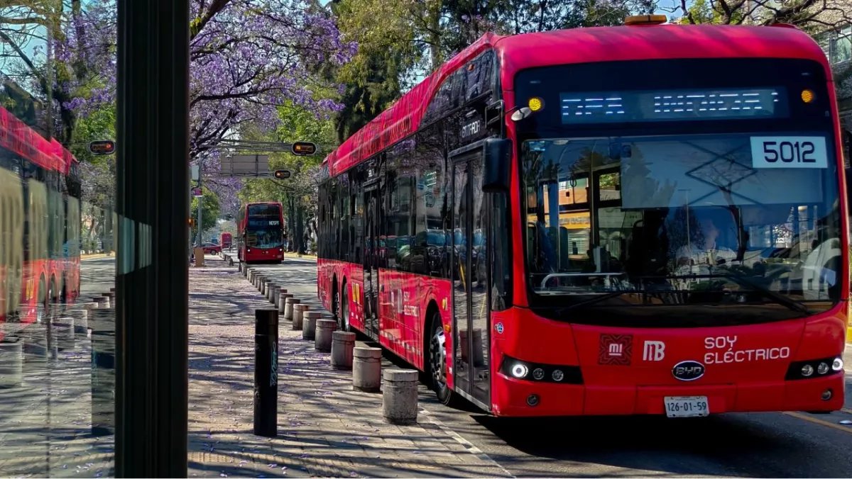 AztecaNoticias's tweet photo. 🚍 #Perisur suspende servicio en @MetrobusCDMX
La estación Perisur de la Línea 1 del Metrobús CDMX suspenderá servicio rumbo a Indios Verdes del 18 al 24 de mayo por trabajos de mantenimiento mayor.
Durante esos días no habrá ascenso ni descenso en la parada ubicada al sur de la capital, una zona clave por su conexión con centros comerciales y rutas de transporte.
Autoridades llaman a prever alternativas de traslado | https://t.co/7a886zZhQ8