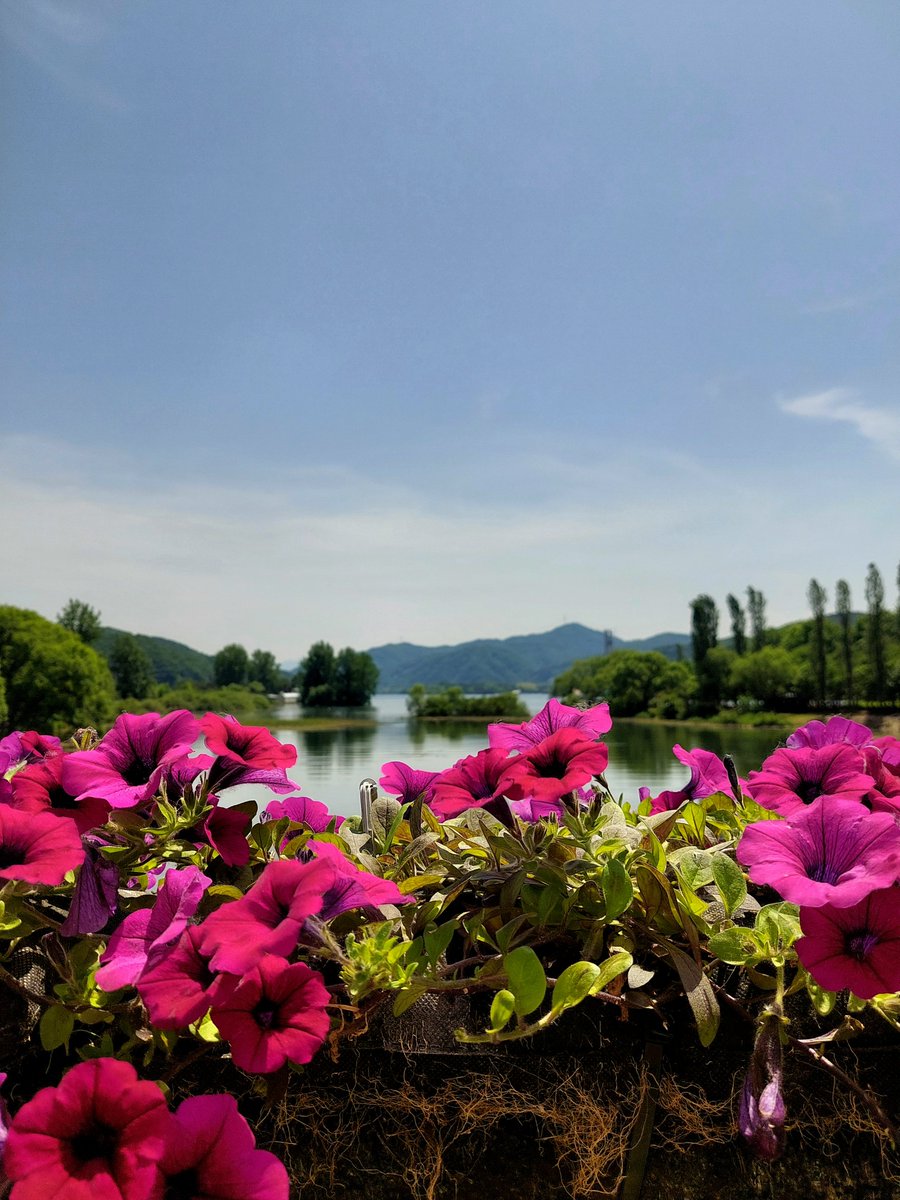 하여☘️ tweet media