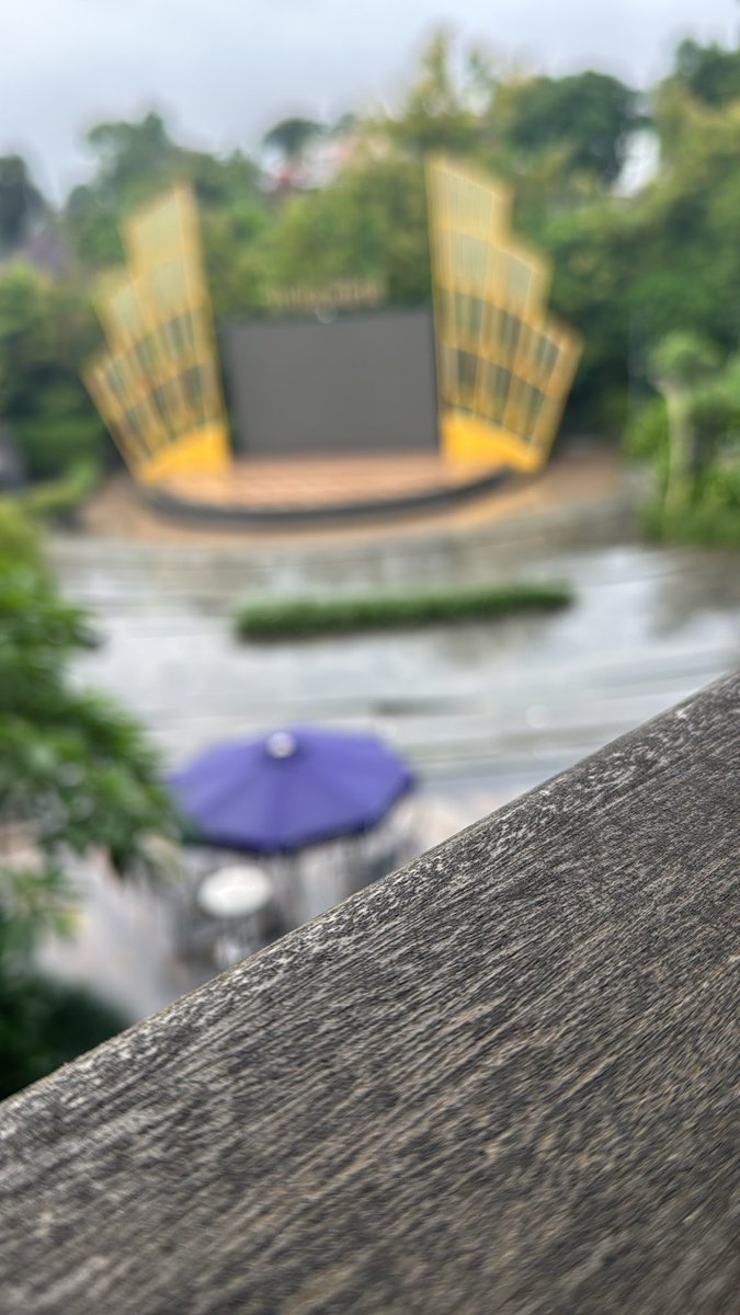 bali80 tweet media