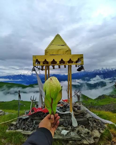 Munsyari tourism tweet media