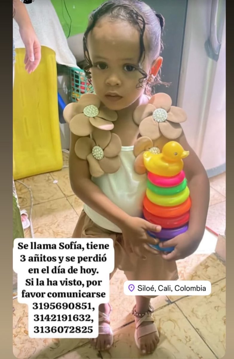 Pía Wohlgemuth 💚💜 tweet media