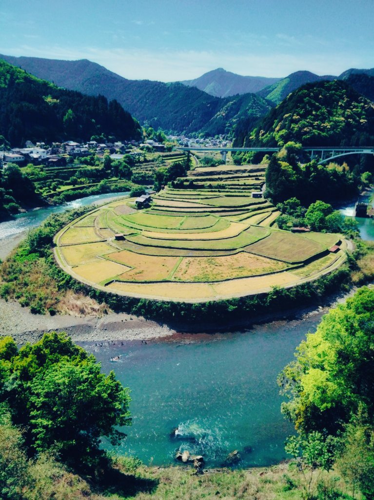 just_a_wast's tweet photo. 琅玕絶佳 https://t.co/a3FclpH08W