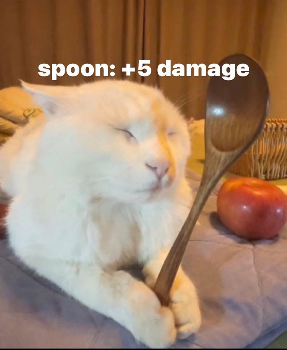 Punch Cat tweet media