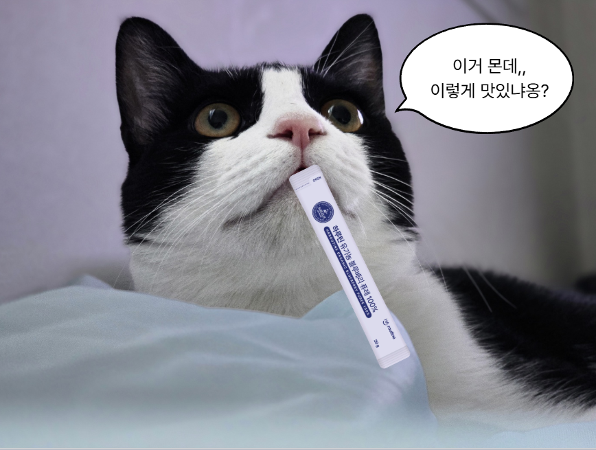 하루틴 tweet media