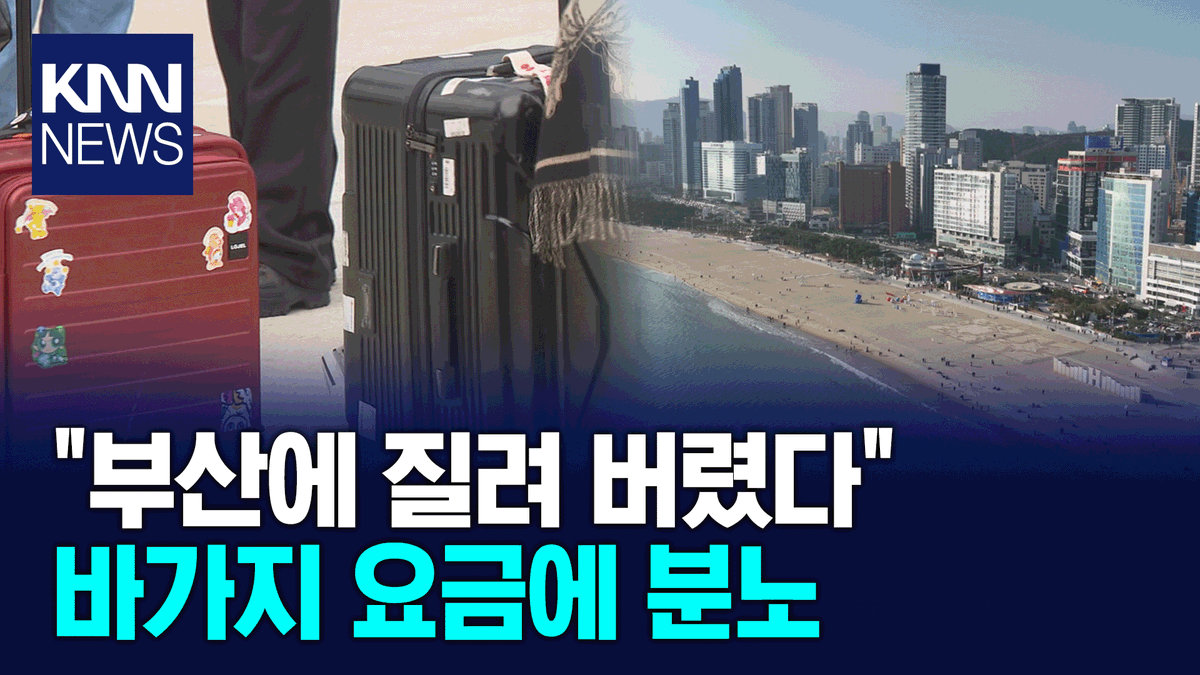 KNN 뉴스 tweet media