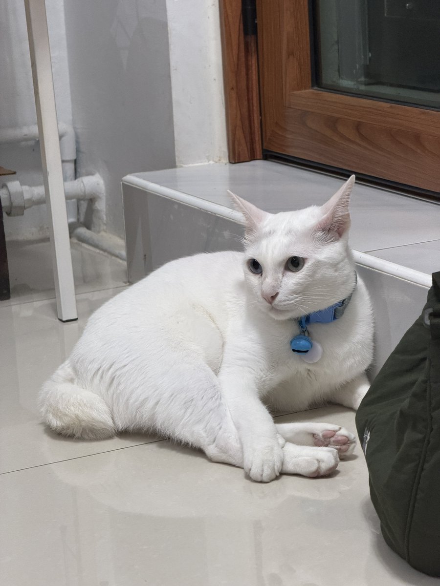คือผมต้องทราบไหม 🐈⬛ tweet media