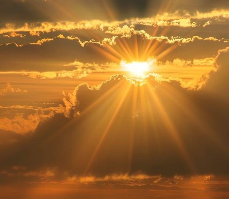 ☀️Victoria❁ tweet media