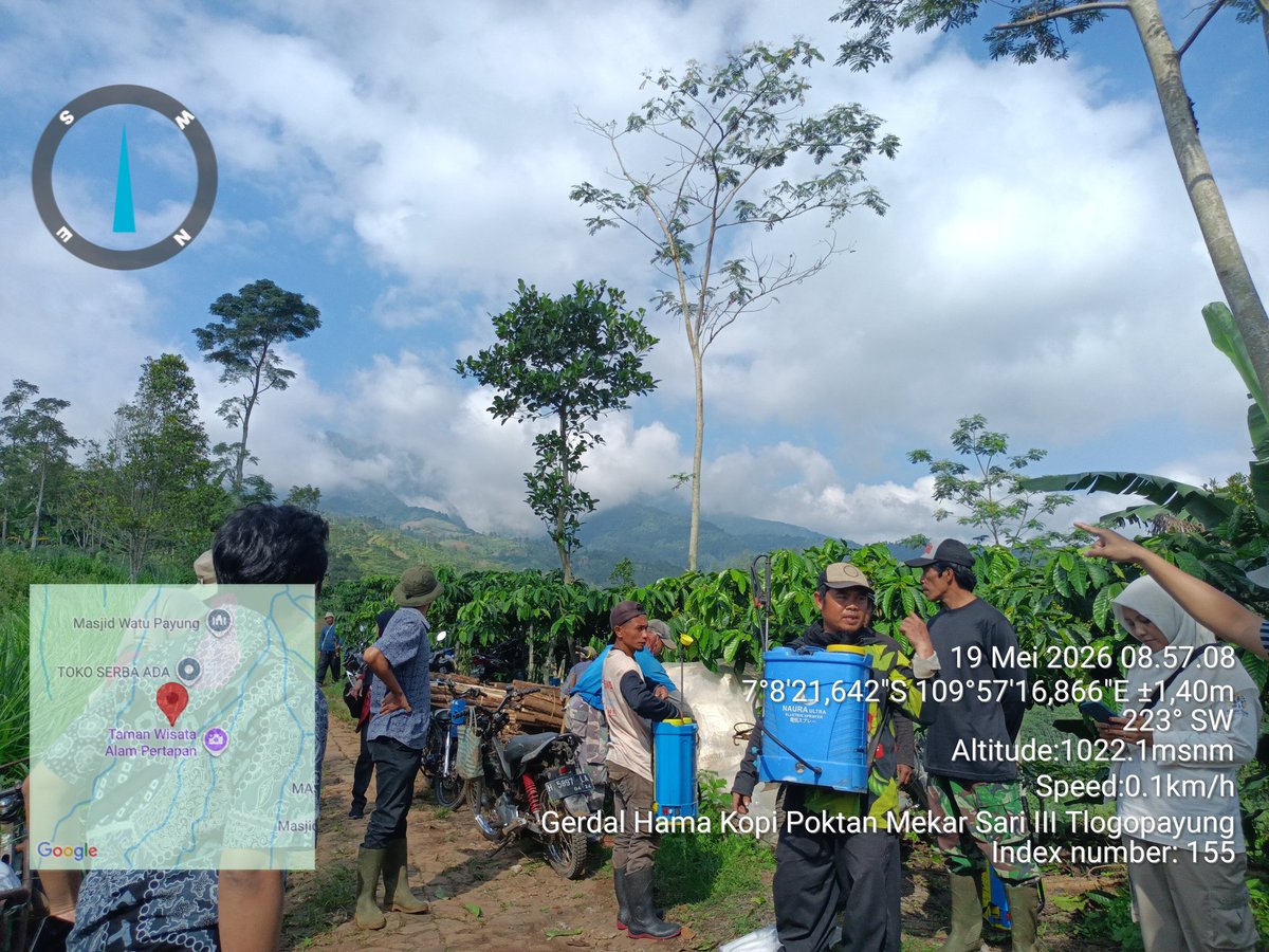 agroedulabs's tweet photo. Kalau kamu pernah minum kopi Kendal —
mungkin kopinya tumbuh di sini.
Di balik awan ini.
Di lereng yang tidak ada jalan aspalnya.
Di tangan orang-orang yang tidak pernah minta dilihat. https://t.co/GDqjyfMfEr