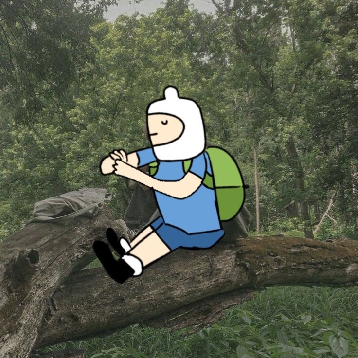 Finn tweet media