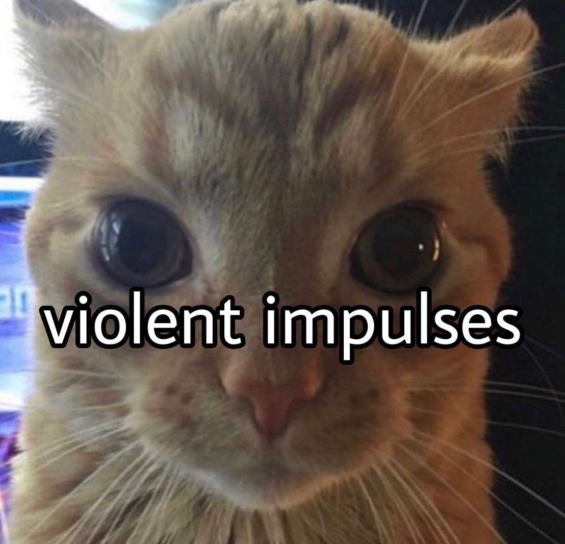 instabilidades tweet media