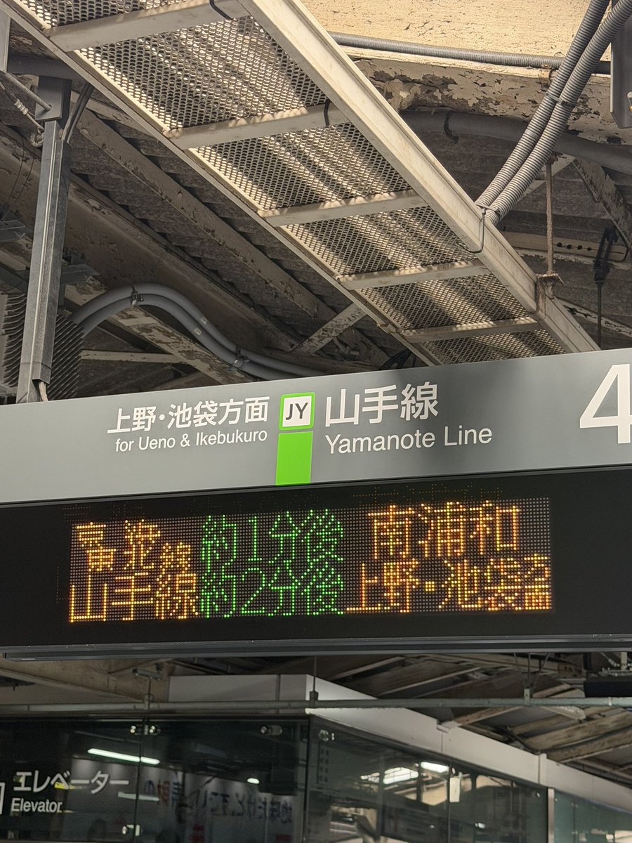 tnk(たぬき) tweet media
