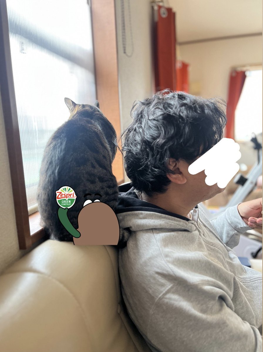 なっちゃん🐜 tweet media